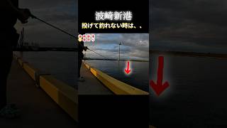 投げて釣れない時は、波崎新港海釣り投げ釣りシーバス 釣り場漁港 魚釣り 魚 fishing 釣り fish youtubeshorts shortsvideo [upl. by Dione297]