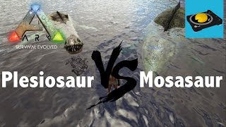 Ark Insight  Plesiosaur VS Mosasaurus [upl. by Emyaj965]