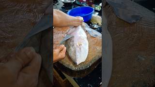 best indin leather jacket fish cutting shots video [upl. by Astera102]