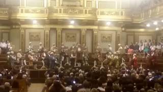 Concierto desde la Goldener Saal Sala Dorada de Viena  Marcha Radetzky [upl. by Ikila]