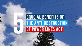 Five Crucial Benefits of the AntiObstruction of Power Lines Act [upl. by Magdaia317]