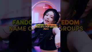 Fandom VS Hatedom name of KPOP groups Pt1 blackpink everglow straykids itzy txt ohmygirl [upl. by Cally]