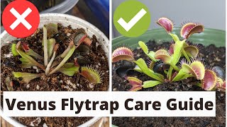 The Complete Venus Fly Trap Care Guide 🌱 [upl. by Wendelina209]