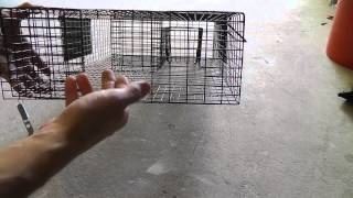 Rugged Ranch Ratinator rat trap review and weaknesses [upl. by Atims]