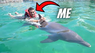 Swimming with DOLPHINS at Miami Seaquarium [upl. by Danaher]