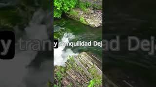 Música RELAJANTE para Meditar Sonidos de la Naturaleza shorts relax music [upl. by Mariette236]