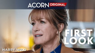 Acorn TV Original  Harry Wild  First Look Episode 7 [upl. by Laenahtan744]