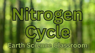 Detailing The Nitrogen Cycle [upl. by Neelyahs372]