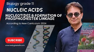 Nucleic Acid  Structure of Nucleotides  Phosphodiester Linkage  Bio Grade 11 2024  Federal board [upl. by Miof Mela]