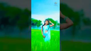 new Nagpuri 💕 viral 2024 video newnagpuridjsong2024djremix DjSahebBabuofficial [upl. by Nosnorb]