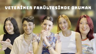 Veteriner Hekimliği І Veteriner fakültesinde öğrenci olmak [upl. by Haddad]