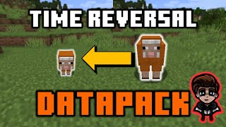 Time Reversal Datapack Showcase  Minecraft 1171  By SilicatYT [upl. by Llertniuq]