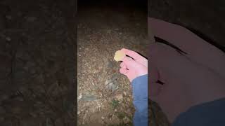 Rock  Hill Part 1 edit funny rockvshill [upl. by Bambie]