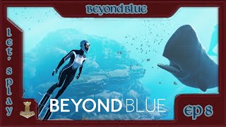 FR FINAL Beyond Blue  Ep 8 Repérer le balaineau [upl. by Casabonne476]