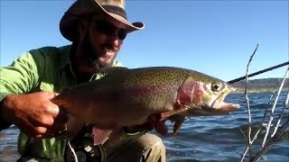 Panguitch Lake 2019 July Fishing Report part 1 [upl. by Enirac]