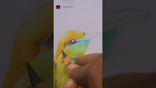 Green bee eater drawing art drawing colourpencils colorpencil birddrawinglesson [upl. by Lehsar]