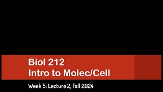 CSULB Biol 212 Fall 2024  Week 5 Lecture 2 [upl. by Nnair894]