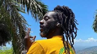 BUJU BANTON  LEGALIZE IT  HERBS MAN PROMOTION REGGAE [upl. by Halilad533]