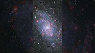 49 hours of exposure of the Triangulum Galaxy M33 traingulum galaxy space telescope [upl. by Lauder868]