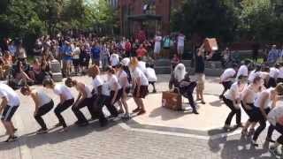 WPI Flashmob What does fox say [upl. by Novyad]