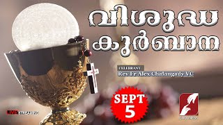 HOLY MASS LIVE  6 AM 05 SEPT 2024Fr Alex Chalangady VCMALAYALAM QURBANATODAY MASSGOODNESS TV [upl. by Edahs]