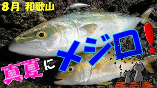 【地磯でショアジギング】まさかあのジグで釣れるとは… [upl. by Ailekahs133]