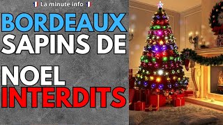 LES SAPINS DE NOEL INTERDITS A BORDEAUX  LE MAIRE RÉPOND QUE LAVIS DES FACHOS  IL SASSIED DESSUS [upl. by Reel927]