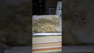 Eating Michelinas Fettuccine Alfredo With Chicken amp Broccoli Dbn MI 10124 [upl. by Nnovahs]