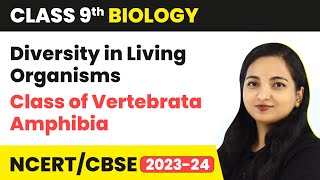 Class of Vertebrata Amphibia  Diversity in Living Organisms  Class 9 Biology  202324 [upl. by Dimmick]