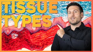 Intro to Histology The Four Tissue Types  Corporis [upl. by Granville732]