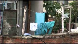 Nepali woman dries clothes on her roof in Kathmandu [upl. by Arol]