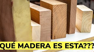 Cómo Identificar Los Tipos De Madera [upl. by Dickerson837]