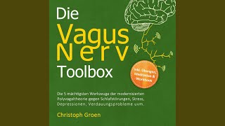 Kapitel 122  Die Vagus Nerv Toolbox Die 5 mächtigsten Werkzeuge der modernisierten [upl. by Aketal336]