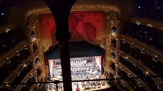 teatro colon desde paraiso y exterior Buenos Aires [upl. by Iatnohs]