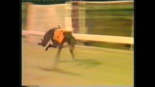 1985 TV TROPHY FINAL  SCURLOGUE CHAMP [upl. by Adnocahs]