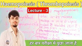 haemopoiesis notes  thrombopoiesis in hindi  thrombopoiesis notes thrombocytes [upl. by Annaxor]