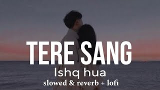 Tere Sang Ishq Hua Slowedreverb Arjit Singh tseries [upl. by Eloisa]