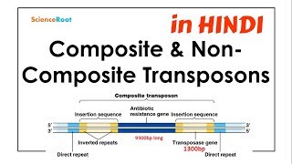 Composite amp NonComposite Transposons  ScienceRoot [upl. by Eudoca]