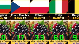 Currant Yield per Harvested Area Annual by Country [upl. by Eanil]