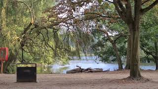 wollaton Park Nottingham UK 🇬🇧 relaxing nature Park birdstrvelvlog [upl. by Vas]