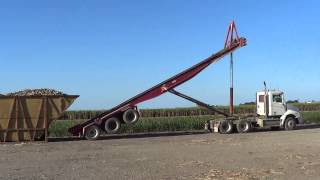 Australia sugar cane harvest [upl. by Nosyaj]