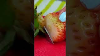 FRESAS CON CREMA 🍓deliciosas y muy fáciles de preparar COMIARTE 2023 fresas [upl. by Atikihs]