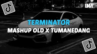 DJ TERMINATOR X MASHUP OLD X TUMANEDANG VIRAL TIKTOK [upl. by Ahab12]