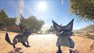 Ark Scorched Earth S1 Guide  Jerboa Storm Sounds [upl. by Ahsenet]