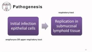 4 Enterovirus pathogenesis amp immune response [upl. by Sami]