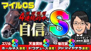 【マイルCS 2024 予想】GⅠ3連続好走中！絶好調の調教S評価が2頭いる！？ [upl. by Stromberg988]