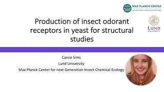 Production of insect odorant receptors in yeast for structural studies [upl. by Pasahow]