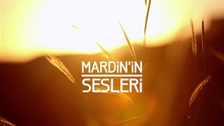 MARDİNİN SESLERİ  SOUNDS OF MARDIN 马尔丁声音 [upl. by Ainessey780]