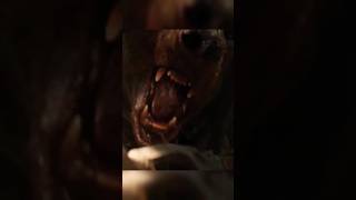 🔥 Predator vs Bear  Prey 2022 predator moviereview shorts viral [upl. by Thorbert]