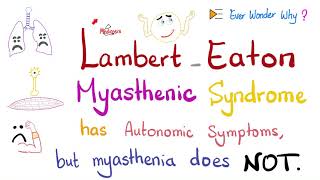 Myasthenia Gravis vs Lambert Eaton Myasthenic Syndrome LEMS  Muscle Weakness Autonomic Symptoms [upl. by Mordy]